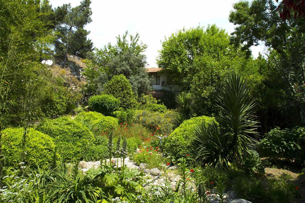 Dostlar Pension Τεκίροβα Δωμάτιο φωτογραφία