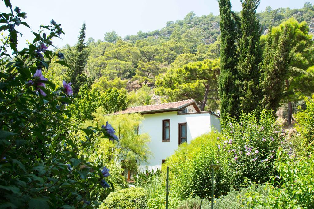 Dostlar Pension Τεκίροβα Δωμάτιο φωτογραφία