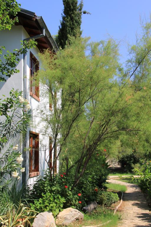 Dostlar Pension Τεκίροβα Εξωτερικό φωτογραφία